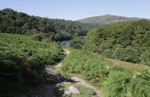 Ananda House - Photo 31