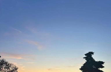 House Gruja with Pool - Foto 32