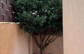 AT La Solanilla a 1 h de Madrid - Foto 10