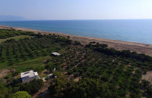 Ktima Βilioni - Foto 46