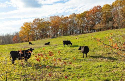 Luxury 4BR in Hudson Valley on a 8 Acre Estate - Hot Tub, Large Firepit, Oversized 38 Ft Deck! - Foto 47