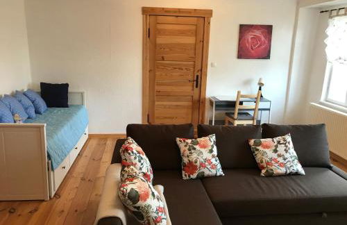 Sanierte möblierte Altbauwohnung am Waldrand für bis zu 6 Personen - Foto 4