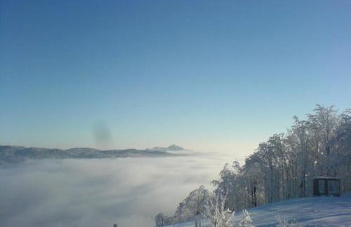 Apartments Nino - Foto 32