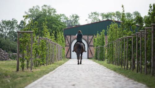 Landgut Ziegler - Foto 4