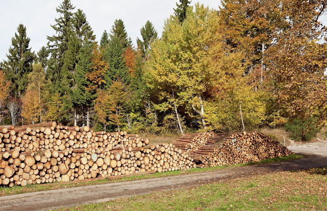 Malerische Erdgeschosswohnung - Foto 18