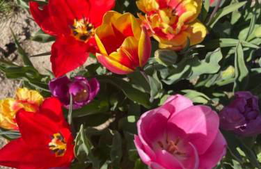 Lieu paisible et indépendant - Foto 24