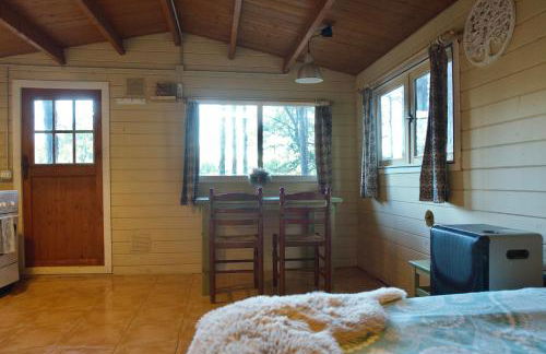 Cabañita de madera en Mas Coguleras - Photo 3