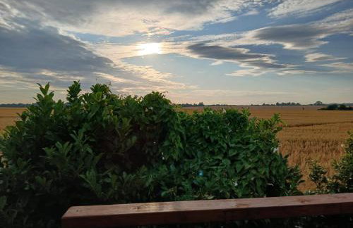 The Viewpoint - Foto 37