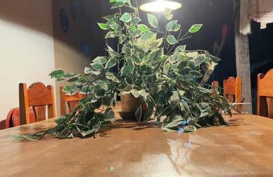 Large house with the best location in Parnaíba - Foto 43