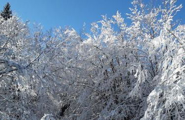 Monolocale Il Capriolo - Abetone - Foto 54