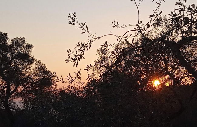 Villa Labovitsa in Paxi - Photo 9