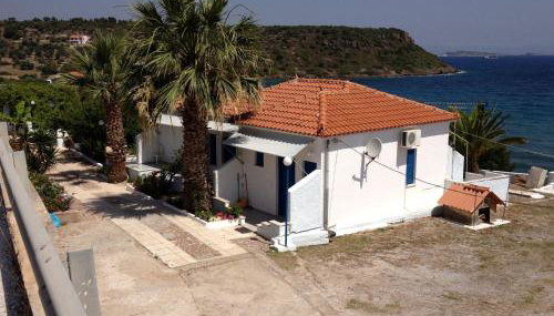 George Paradise - Foto 2