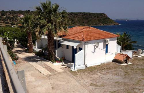 George Paradise - Foto 2