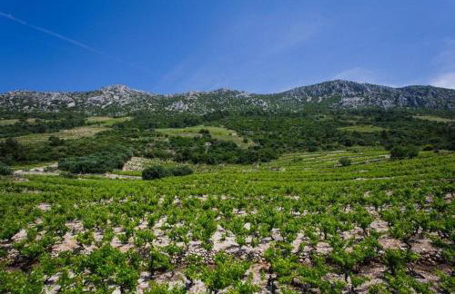 Apartments Villa Dingač - Foto 43