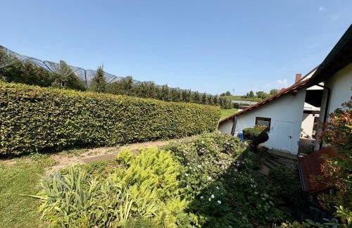 Ferienwohnung 5 Minuten zum Bodensee, 10 Minuten zum Stadtzentrum, sehr ruhig, kühl auch bei Hitze - Foto 14