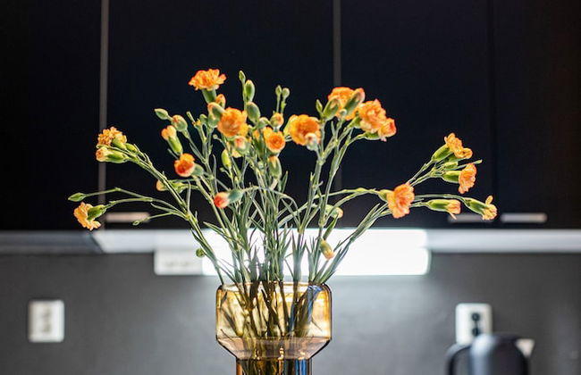 Cozy & Homelike Downtown Studio at Great Location - Foto 15