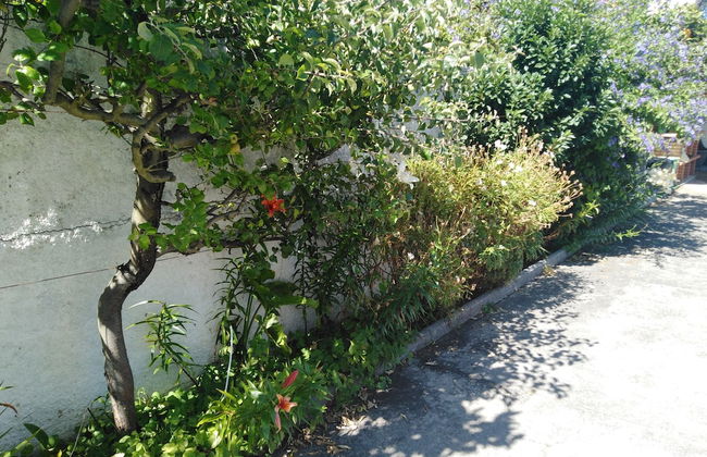 Cabedelo Seaside - Foto 41