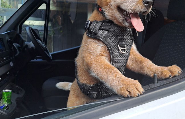 Ingenia Holidays Sydney Hills - Photo 18