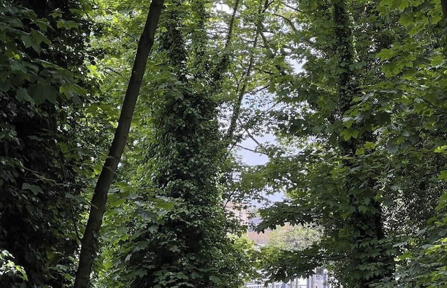 Cozy 4-bed Cottage Garden Walk to River Thames - Foto 8