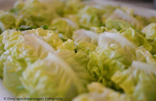 Agriturismo La Pietriccia - Foto 60