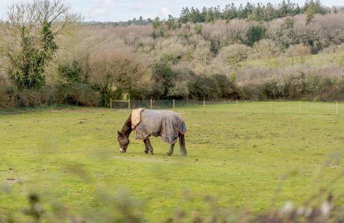 2 Bed in Ryde oc-87028 - Photo 19