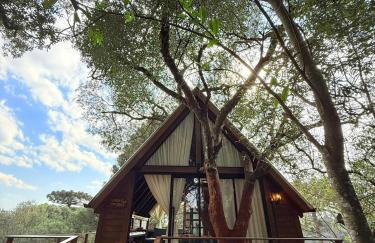 Casa na Árvore em Guarapuava - Foto 8