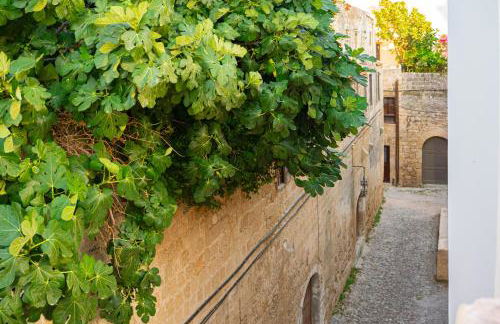 Ottoman's Manor - Foto 8