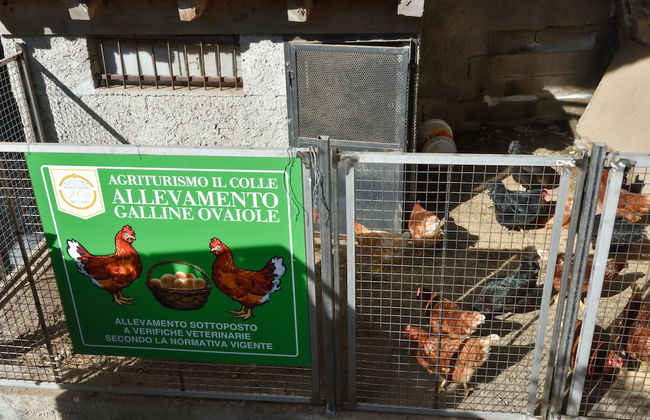 Agriturismo Il Colle - Foto 41