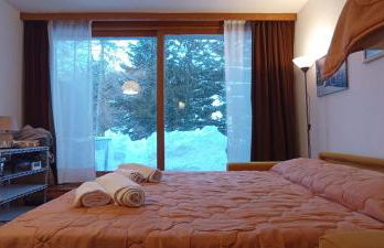 Ski apartment Sellette San Sicario Alto - Photo 51