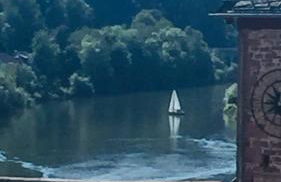 Natur und Neckarblick bei Heidelberg - Photo 37