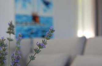 Villa Brac - Photo 60