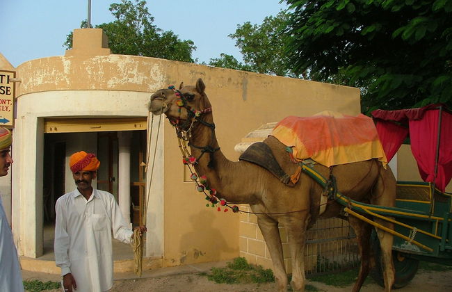 Escursione a Samode e breve giro in cammello - Foto 1