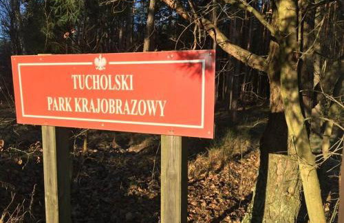 Apartamenty CEKCYN - KOLEJOWA 6 - Foto 78