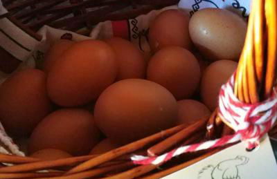 Apartamentos Casa de Riba - Foto 61