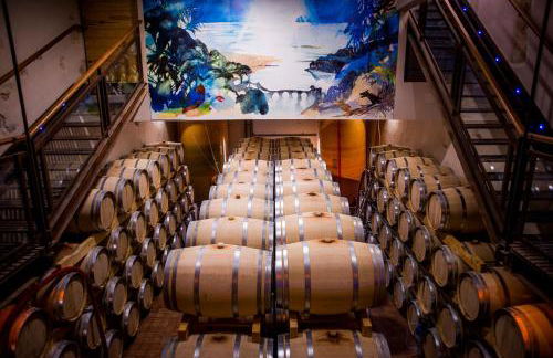 Au coeur des vignes, à deux pas de la mer - Foto 2