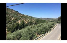 Large 1 bed apartment in the beautiful countryside - Foto 15