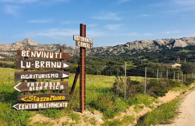 Agriturismo Lu Branu - Photo 42