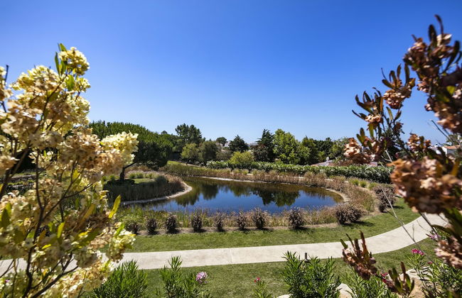 Vale de Milho Village - Foto 36