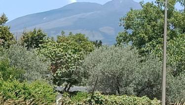 Risveglio sull'Etna - Foto 5
