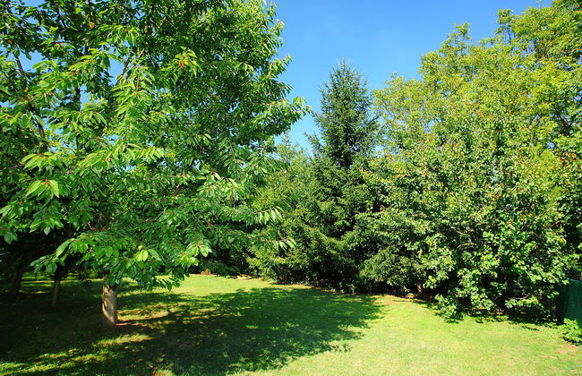 7 bedroom House in Balatonszárszó with garden and terrace - Photo 3