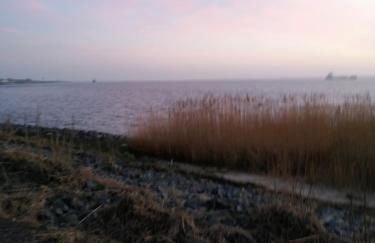 Richters Deich-Oase - Foto 27