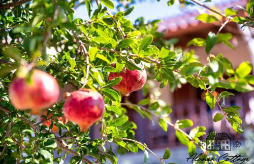 Alonia Cottage - Photo 41