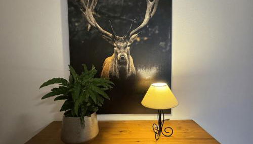 Ferienwohnung Auf Der Höll - Foto 4