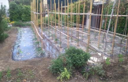 La Residence da Caterina - Photo 12