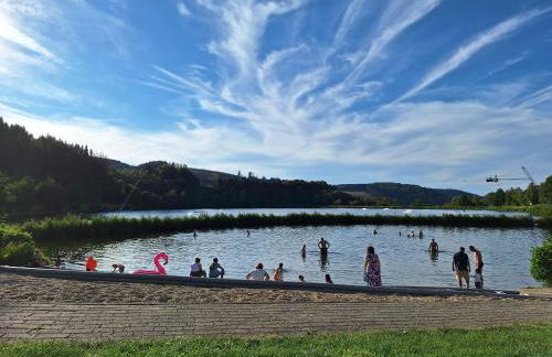 Ferienhaus 1000 Berge Winterberg Kamin & Whirlpool - Foto 33