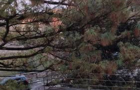 Appartamento Stadio free bike - Photo 26