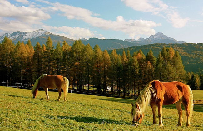 Cozy Apartment in Obsteig near Ski Area - Foto 43