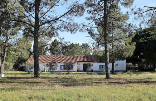 Casa do Pinheiro - Foto 1