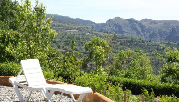 La Oveja Verde - Photo 5