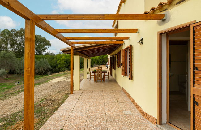 Eucalipto - Photo 29